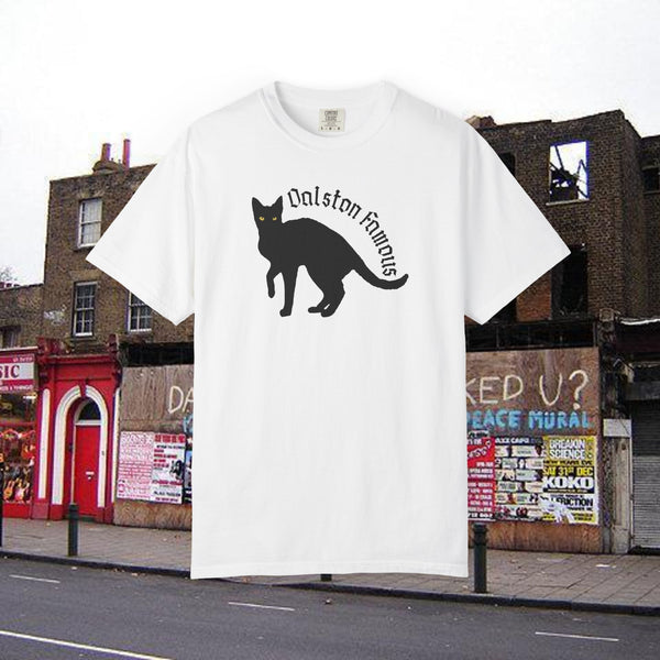My Black Cat